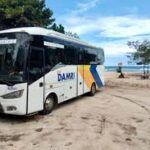 Bis Damri Rute Malang Ke Pantai Selatan