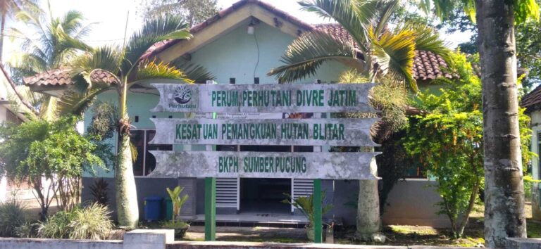 berita yudiii