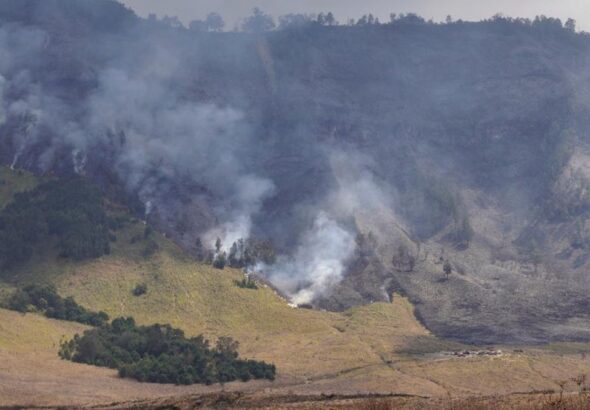 pemadaman-kebakaran-kawasan-savana-gunung-bromo-1_169