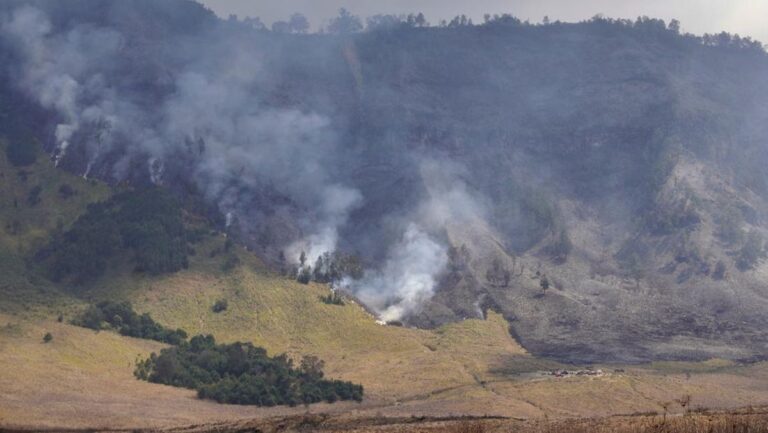 pemadaman-kebakaran-kawasan-savana-gunung-bromo-1_169