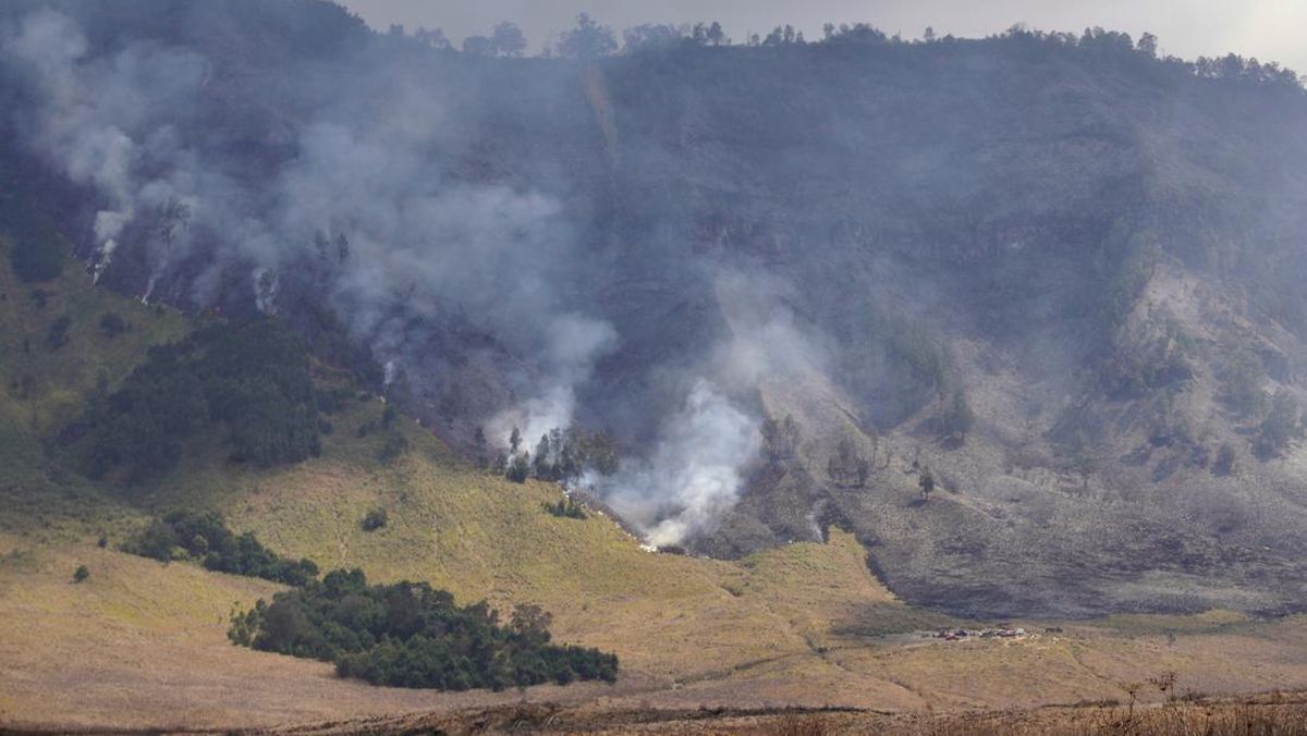 pemadaman-kebakaran-kawasan-savana-gunung-bromo-1_169